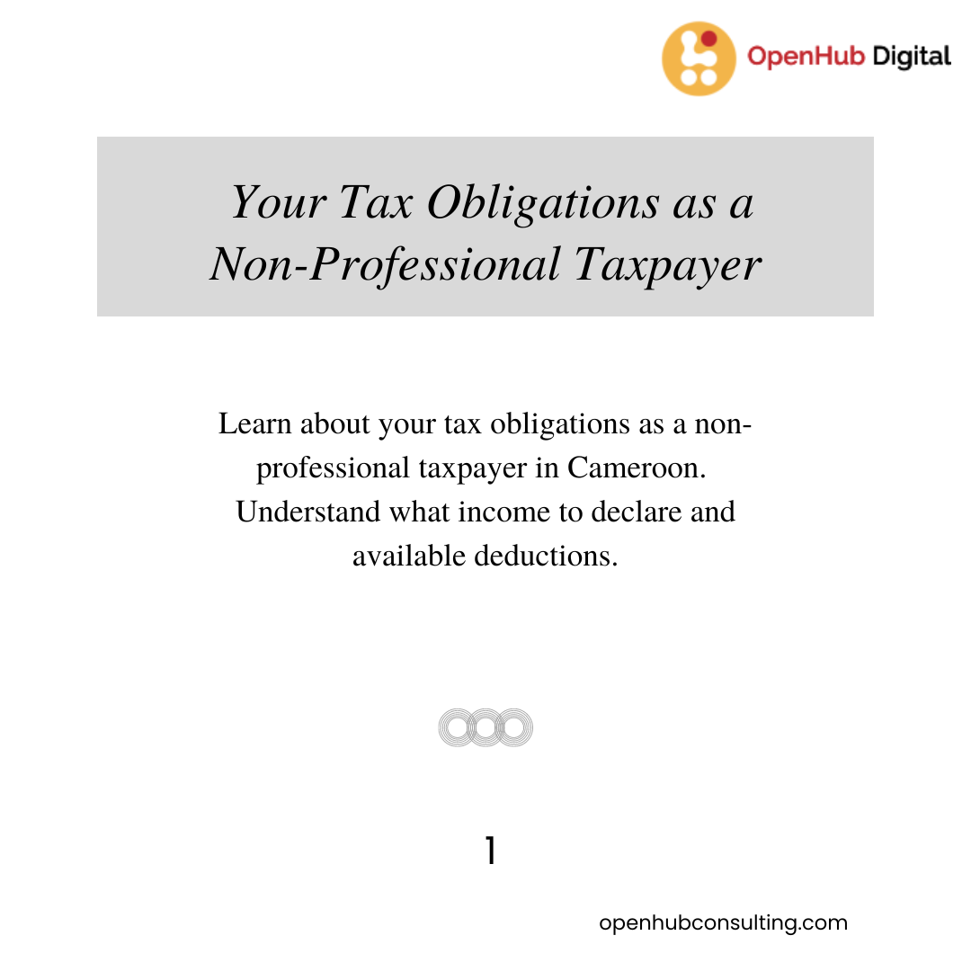 Your Tax Obligations as a Non-Professional Taxpayer